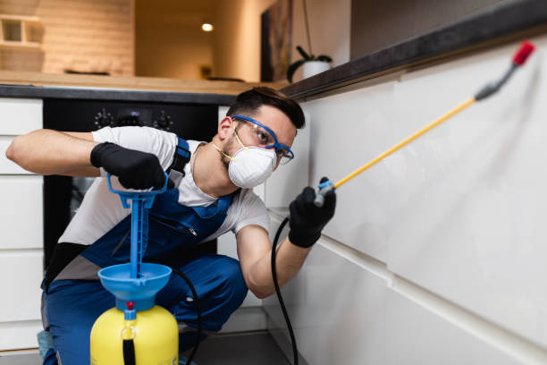 Best Pest Inspection Near Me  in Hayden, AL