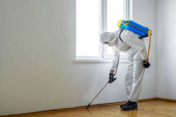 Best Affordable Pest Control Services  in Hayden, AL