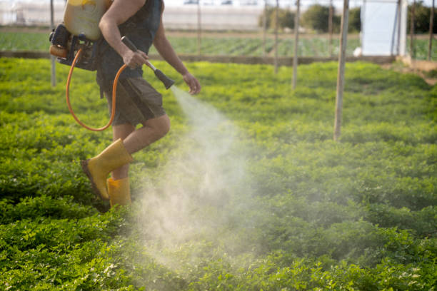 Best Commercial Pest Control Services  in Hayden, AL