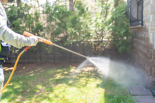 Best Exterminator Services  in Hayden, AL