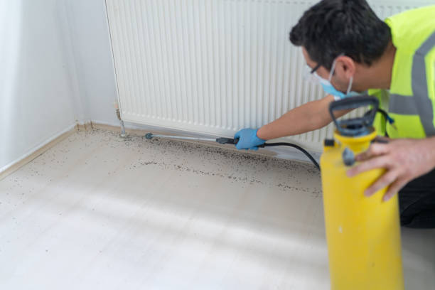 Best Best Pest Control Companies  in Hayden, AL
